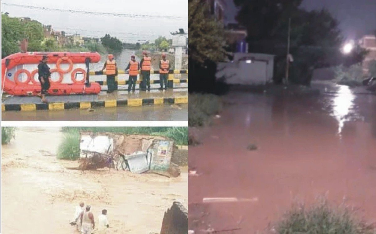 6_1786527107.jpg