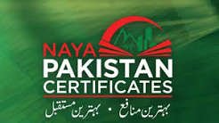 naya_pk_1780417775.jpg