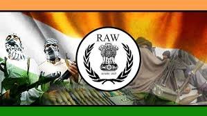 raw_1778858593.jpg